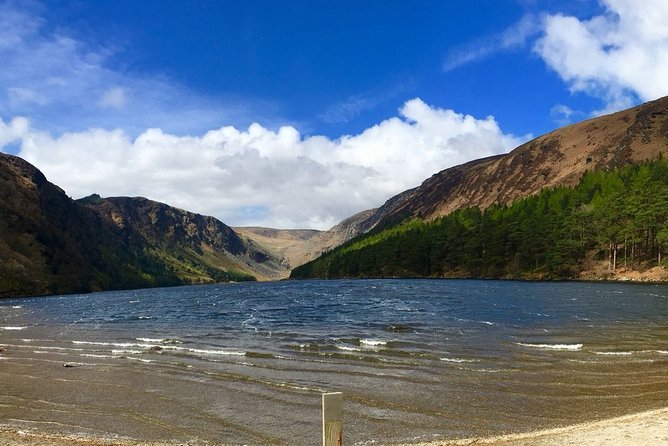 Spanish Glendalough And Powerscourt Tour - The walk to Upper Lake: an hour among oaks and ferns