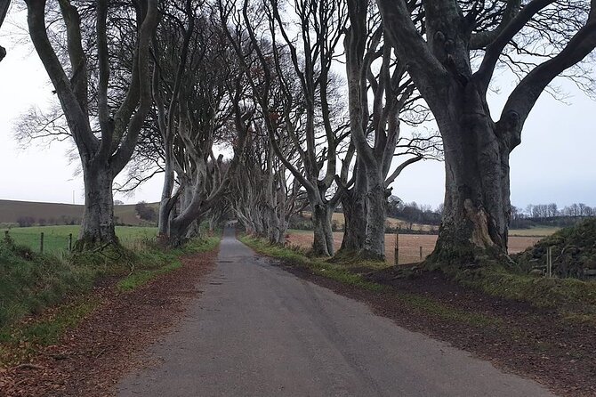 The Giant's Causeway, Dunluce Castel and Belfast - Spanish guide - Is $115.12 good value?