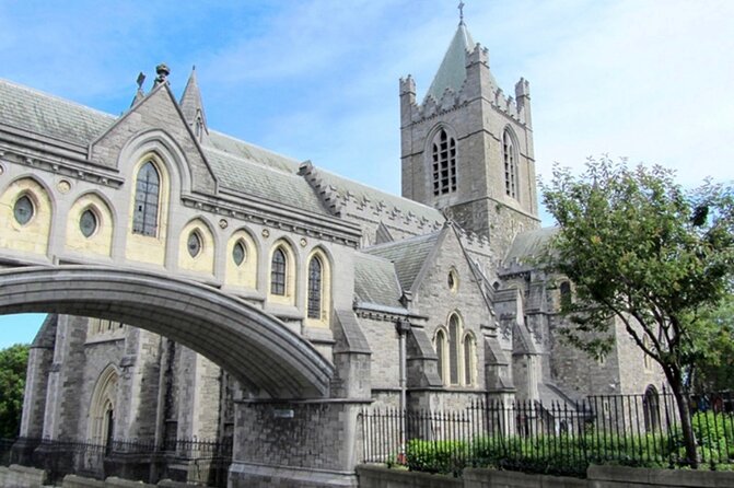 Walking Tour of Dublin’s Viking/Medieval Quarter with a Viking - A Viking voice in the medieval quarter