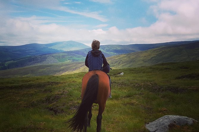 Wicklow Mountains Horse Trekking - Setting Out From Hollywood Horse And Pony Trekking