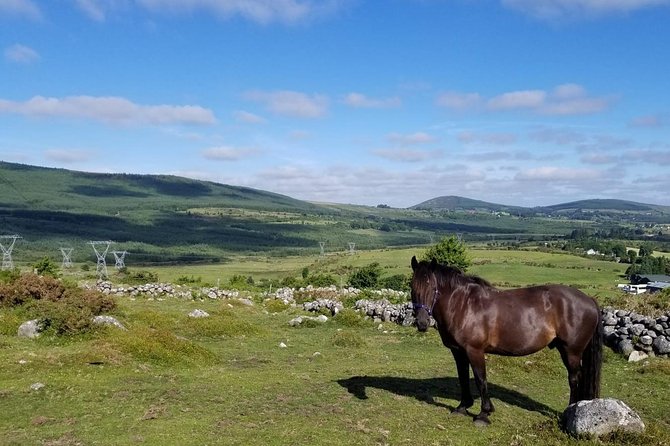 Wicklow Mountains Horse Trekking - A Short Lesson Before The Trail