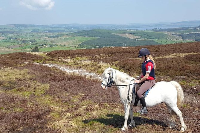 Wicklow Mountains Horse Trekking - What The Price Buys You