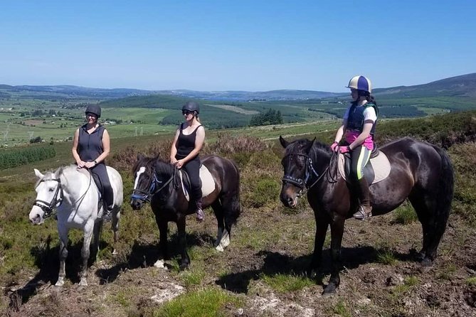 Wicklow Mountains Horse Trekking - Weather, Fitness, And Other Practical Points