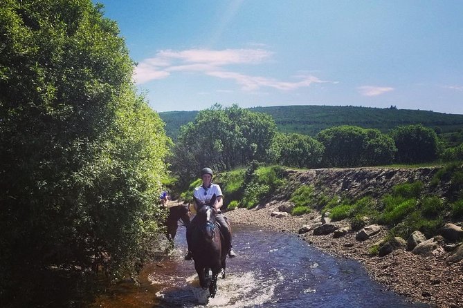 Wicklow Mountains Horse Trekking - Who Will Get The Most From This Ride