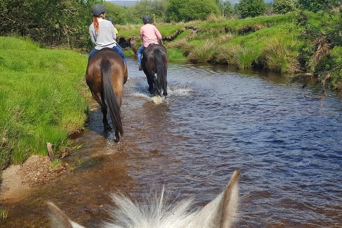 Wicklow Mountains Horse Trekking - Should You Book The Wicklow Mountains Horse Trek?